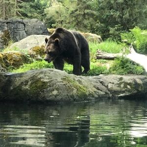 Meet your Posher, Aspen